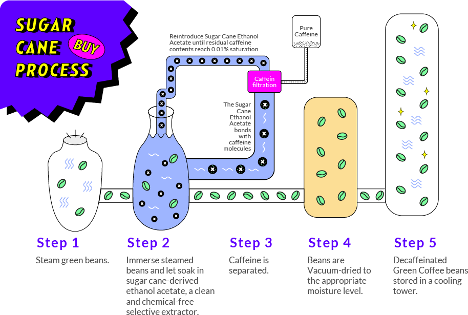 Sugar cane process explained with five steps